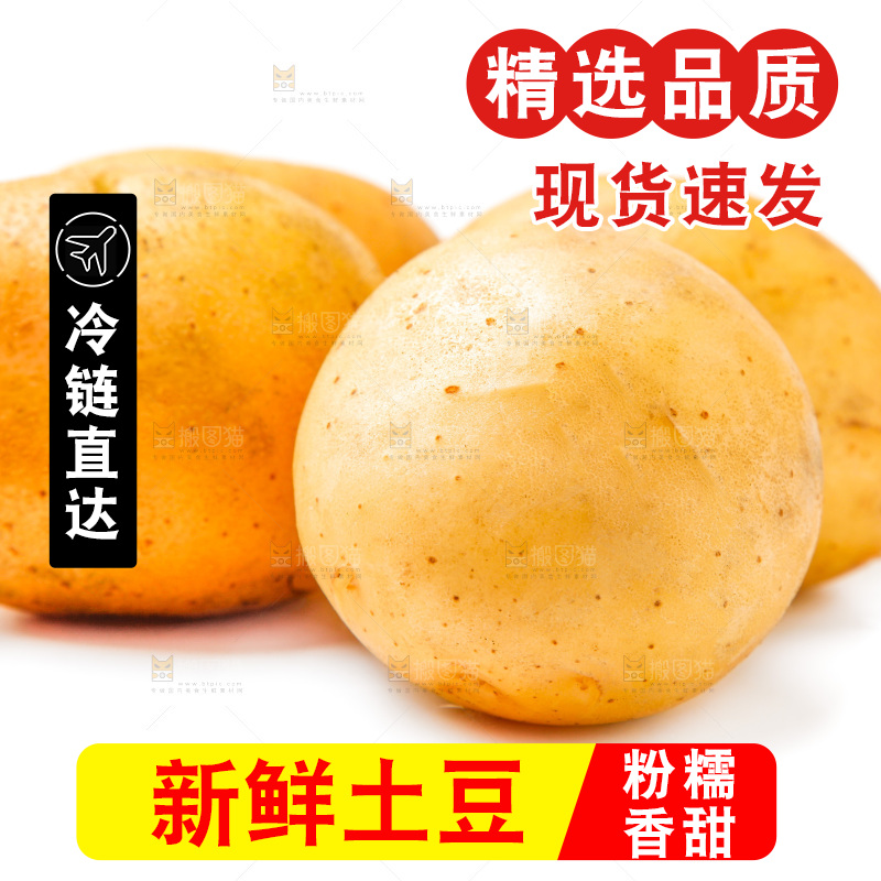 白底上的土豆