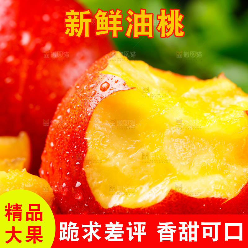 深底上的山西黄心油桃