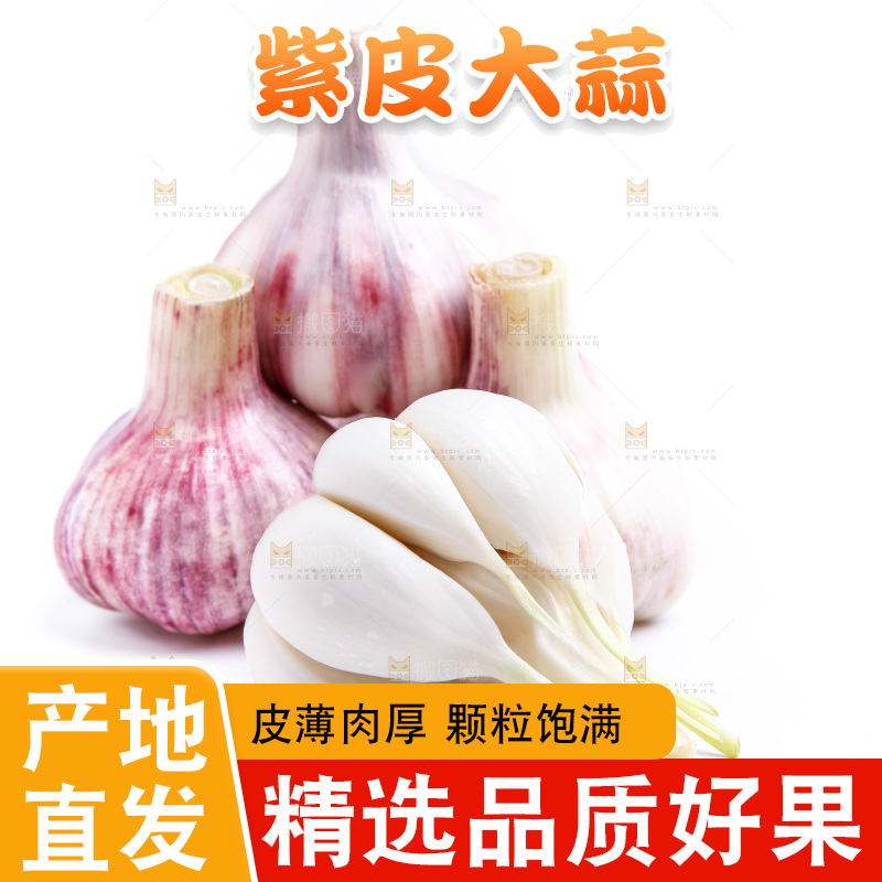紫皮大蒜放在白底上
