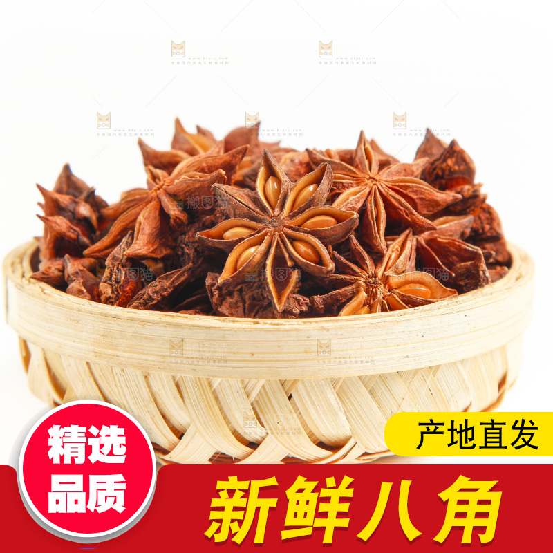 广西八角放在白底上