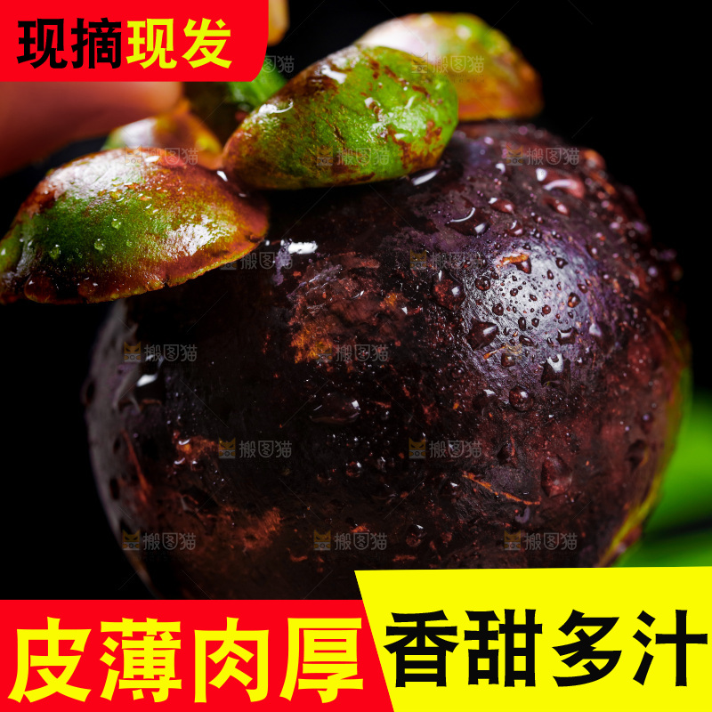 手拿新鲜山竹