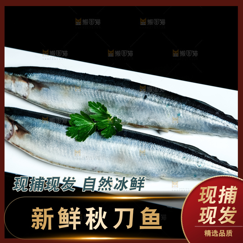 黑底上放着一盘秋刀鱼