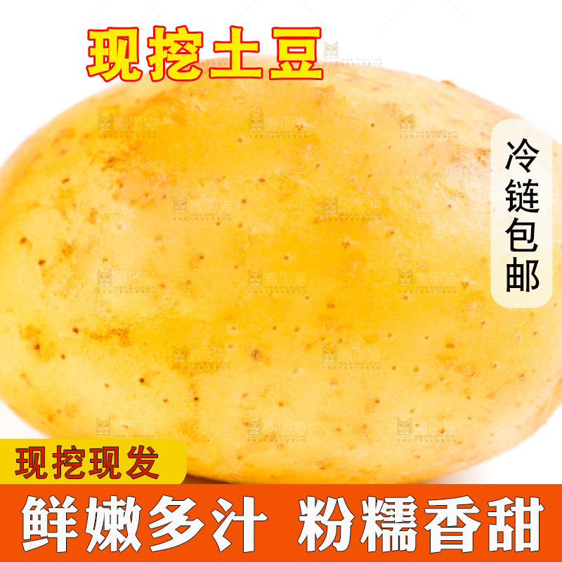 白底上的土豆