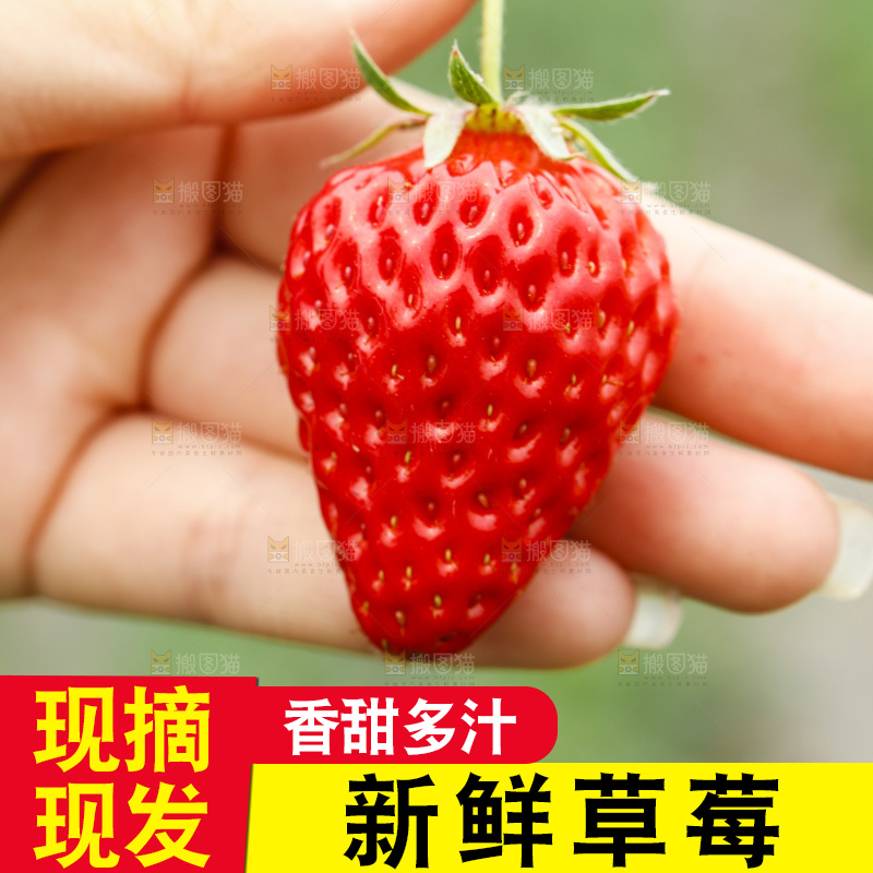 手拿草莓