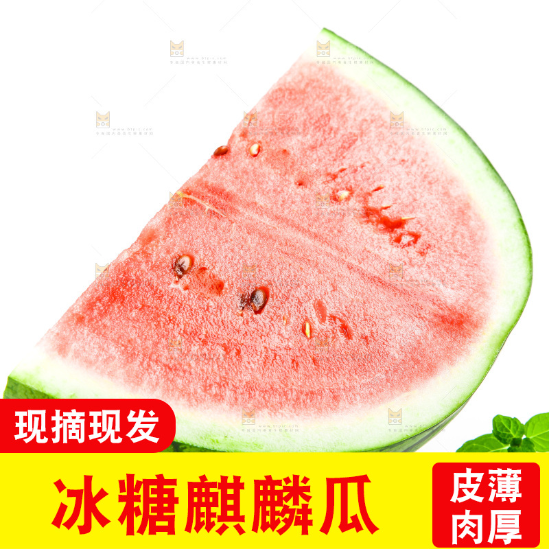 切开的麒麟西瓜放在白底上