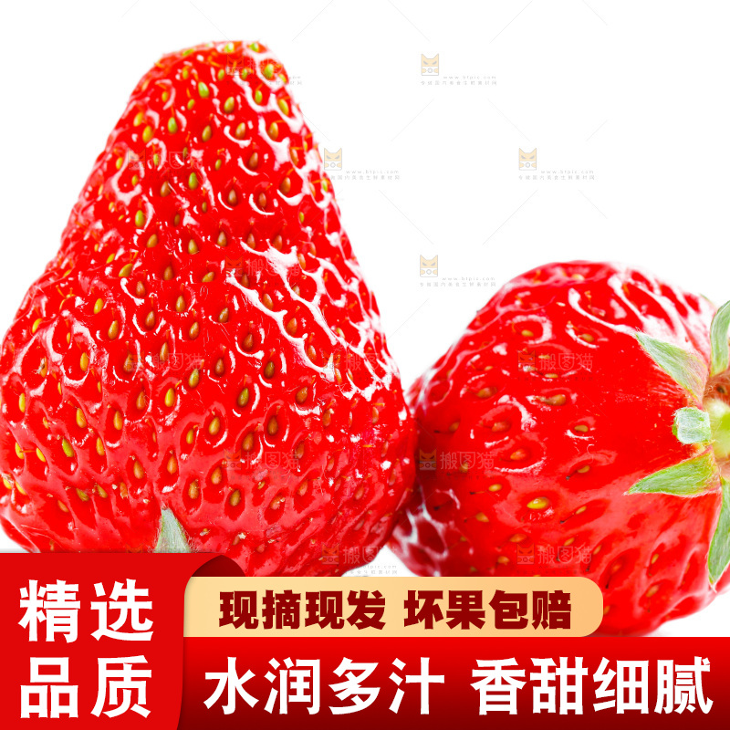 白底上的草莓