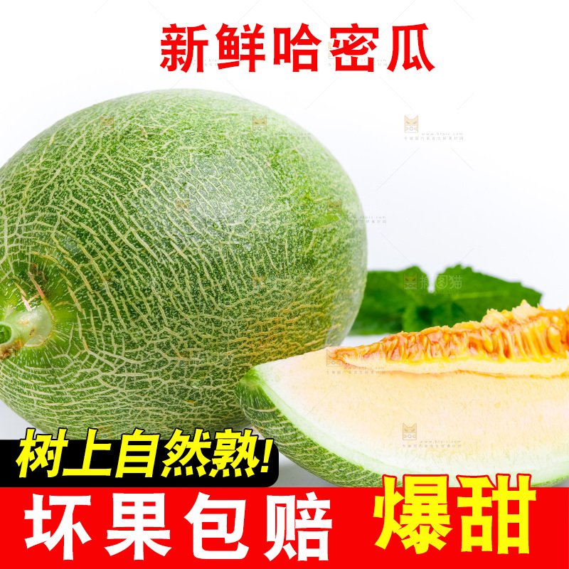 白底上的哈密瓜