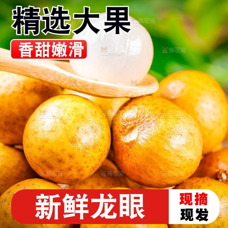 勺子里装着龙眼果肉