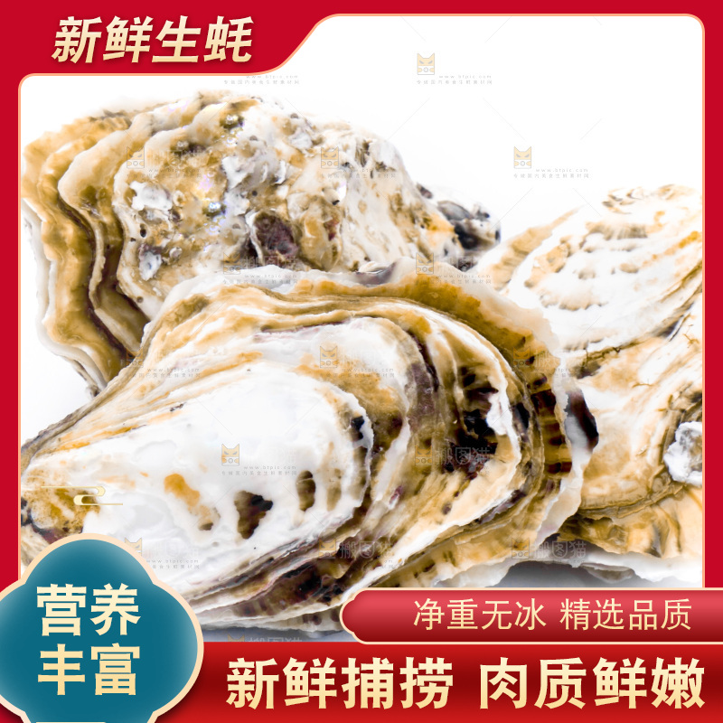 白底上的乳山生蚝