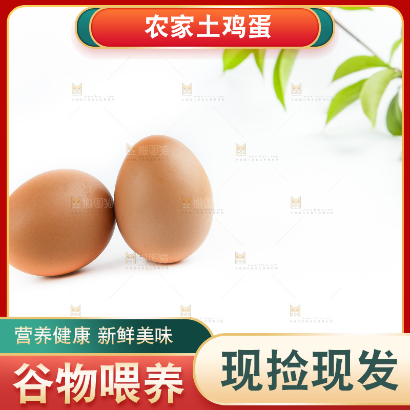 白底上的新鲜鸡蛋