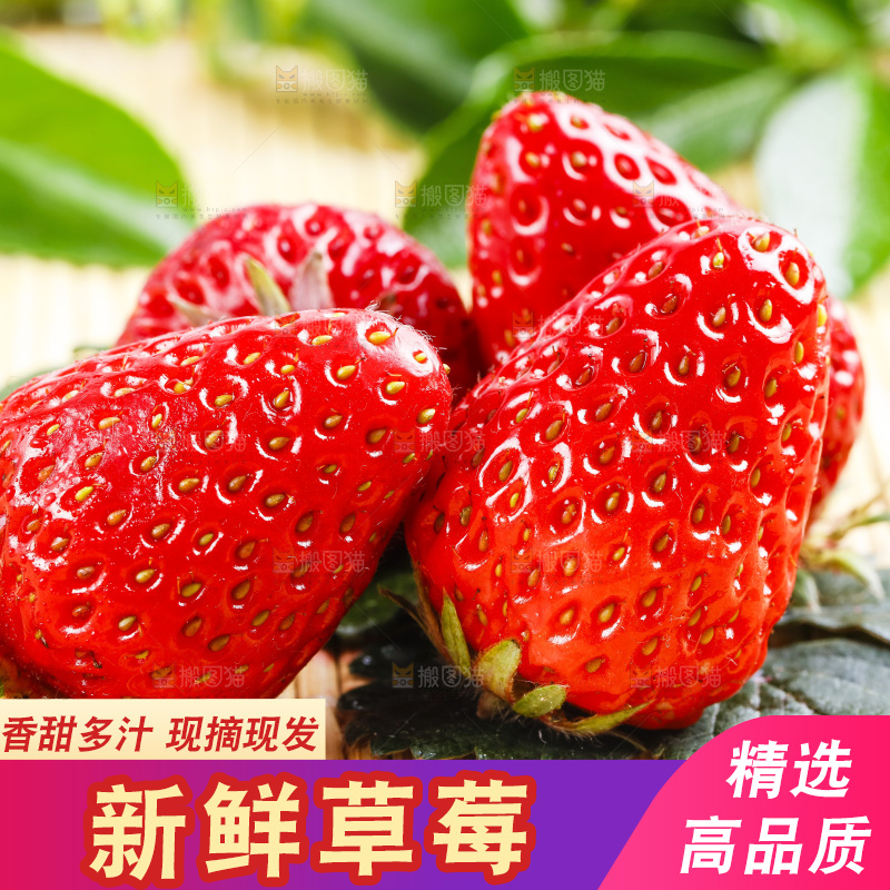 木底上放着丹东草莓