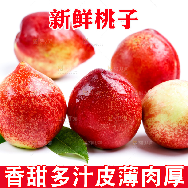 新鲜油桃放在白底上