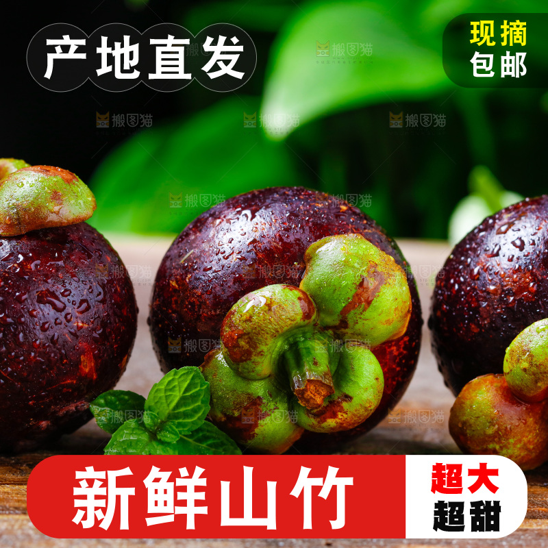 深底上的山竹