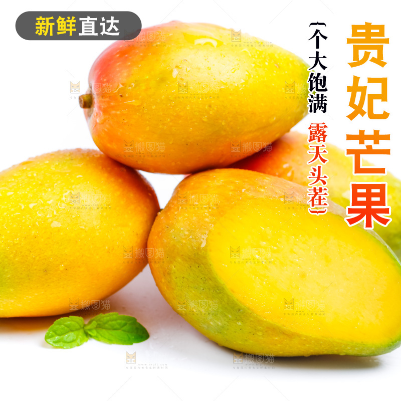 新鲜贵妃芒放在白底上