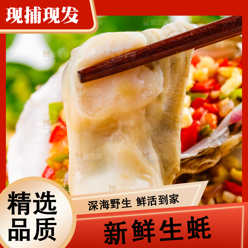 筷子夹着乳山生蚝