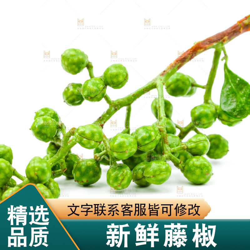 白底上的藤椒
