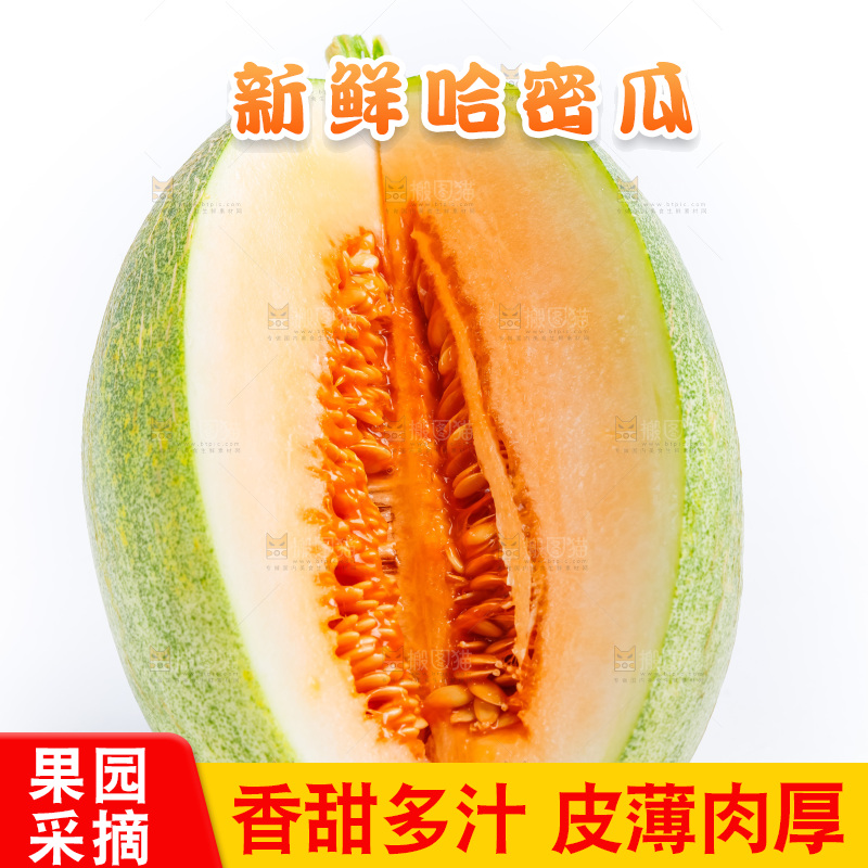 白底上的哈密瓜