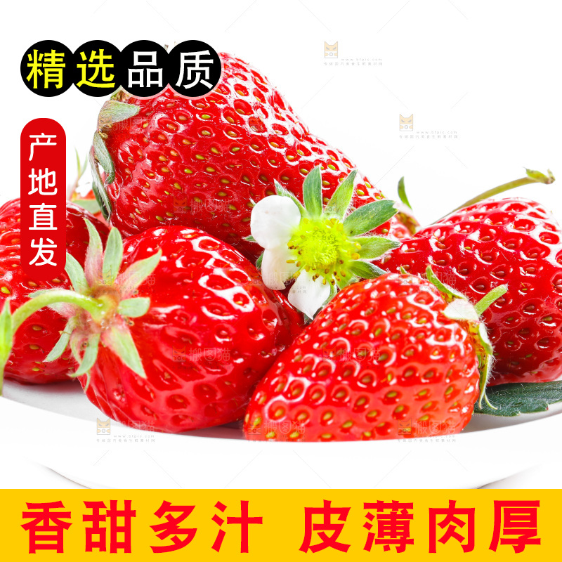 白底上的丹东草莓