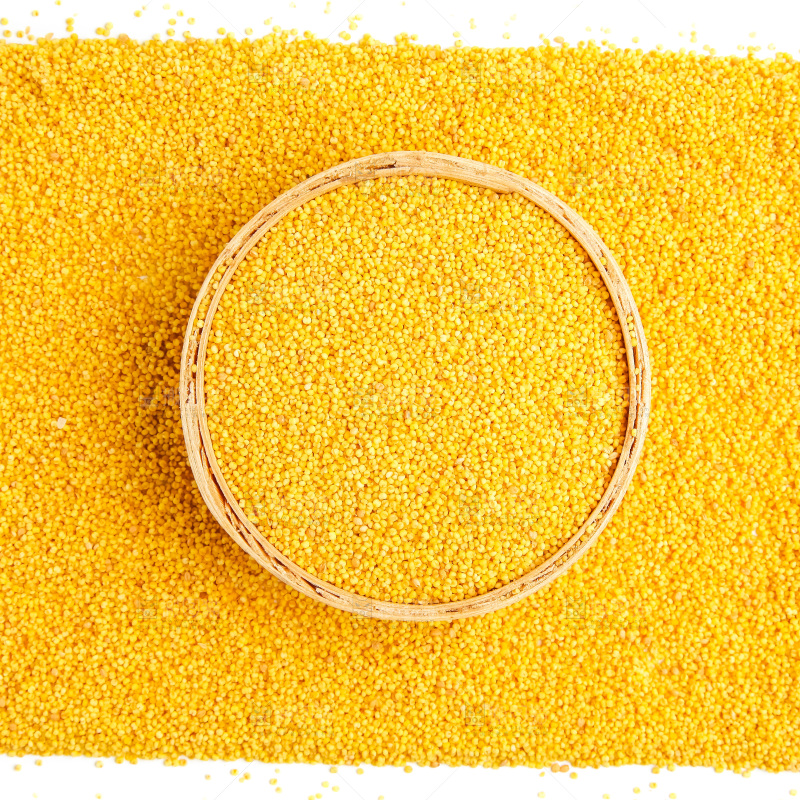 白底上放着新鲜黄小米