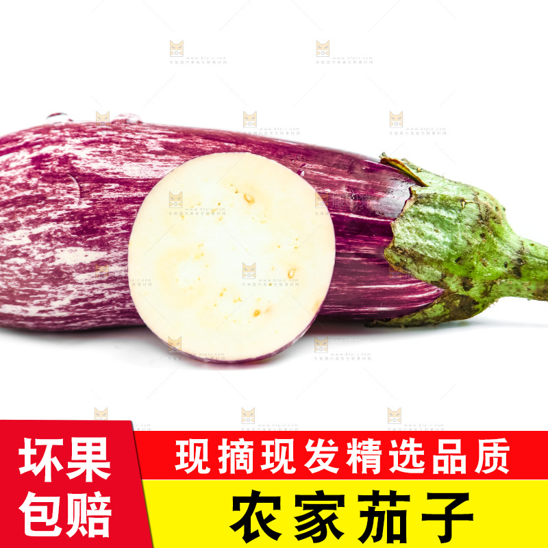 新鲜茄子放在白底上