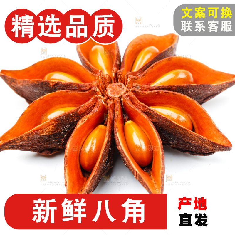 广西八角放在白底上