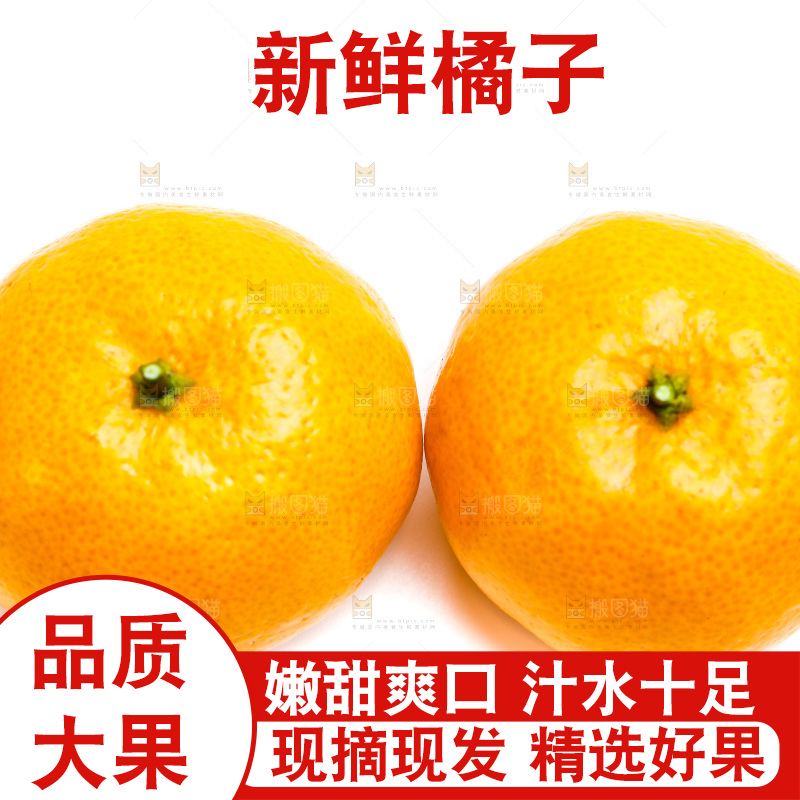 新鲜橘子放在白底上
