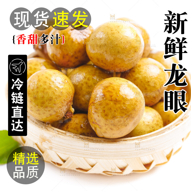 新鲜龙眼放在白底上