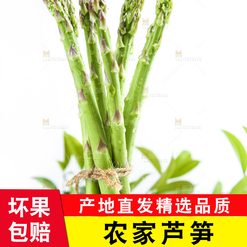 白底上的山东青芦笋