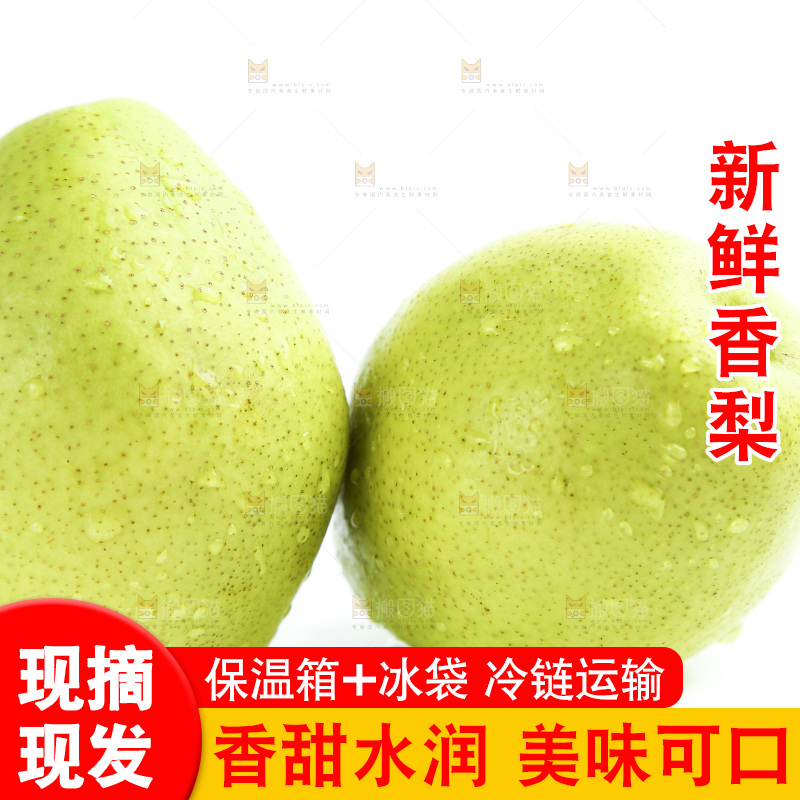 白底上的香梨