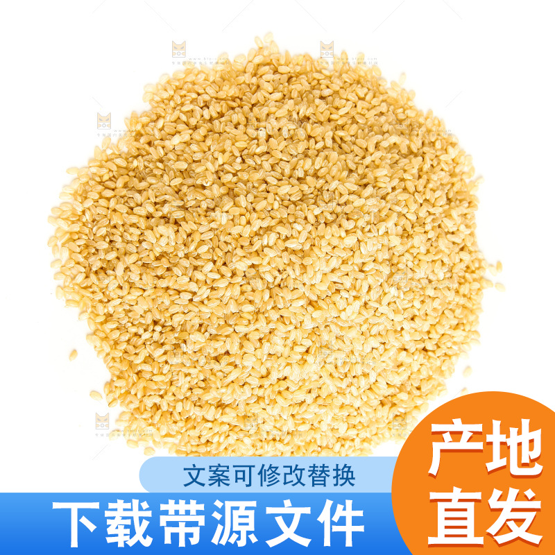 东北糙米放在白底上