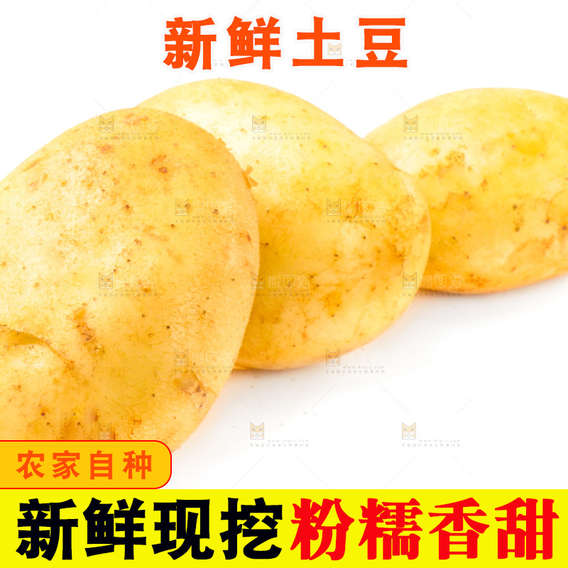 白底上的新鲜土豆