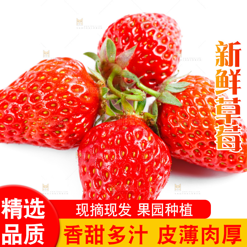 白底上放着99草莓