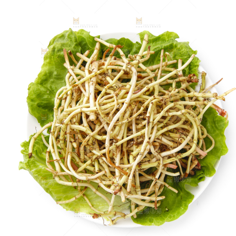 一盘凉拌鱼腥草放在白底上
