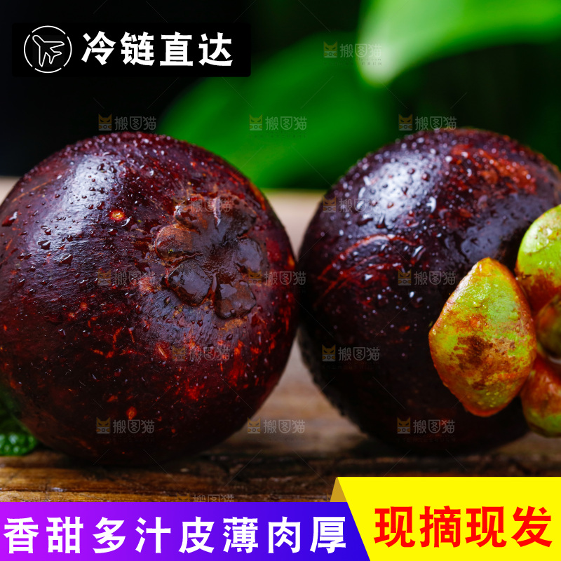 深底上的山竹
