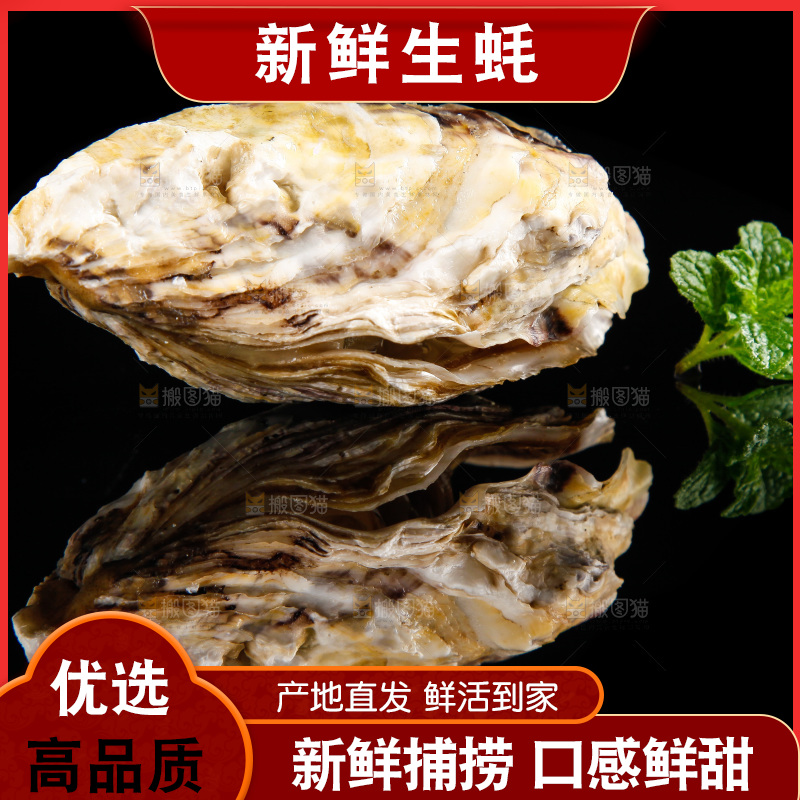 黑底上放着海蛎子