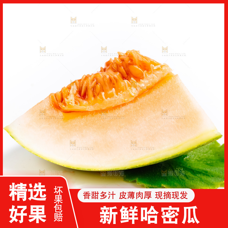 新鲜哈密瓜放在白底上