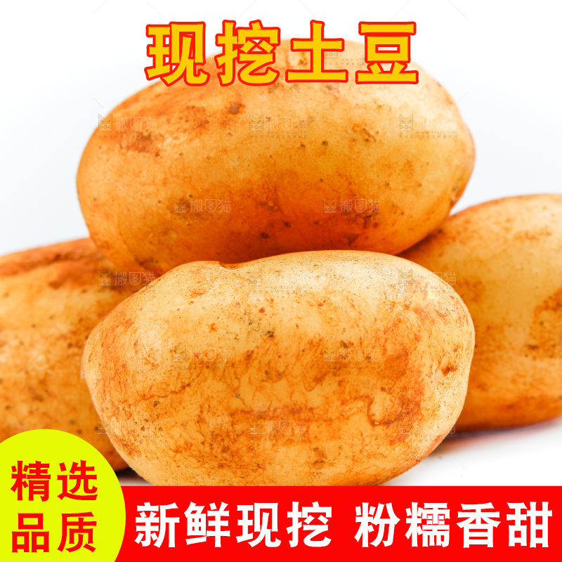 白底上的土豆