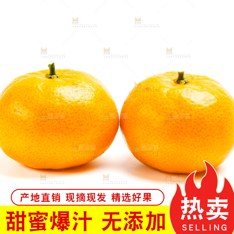 新鲜橘子放在白底上
