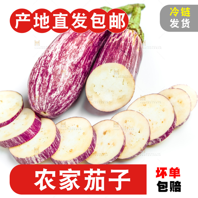 新鲜茄子放在白底上