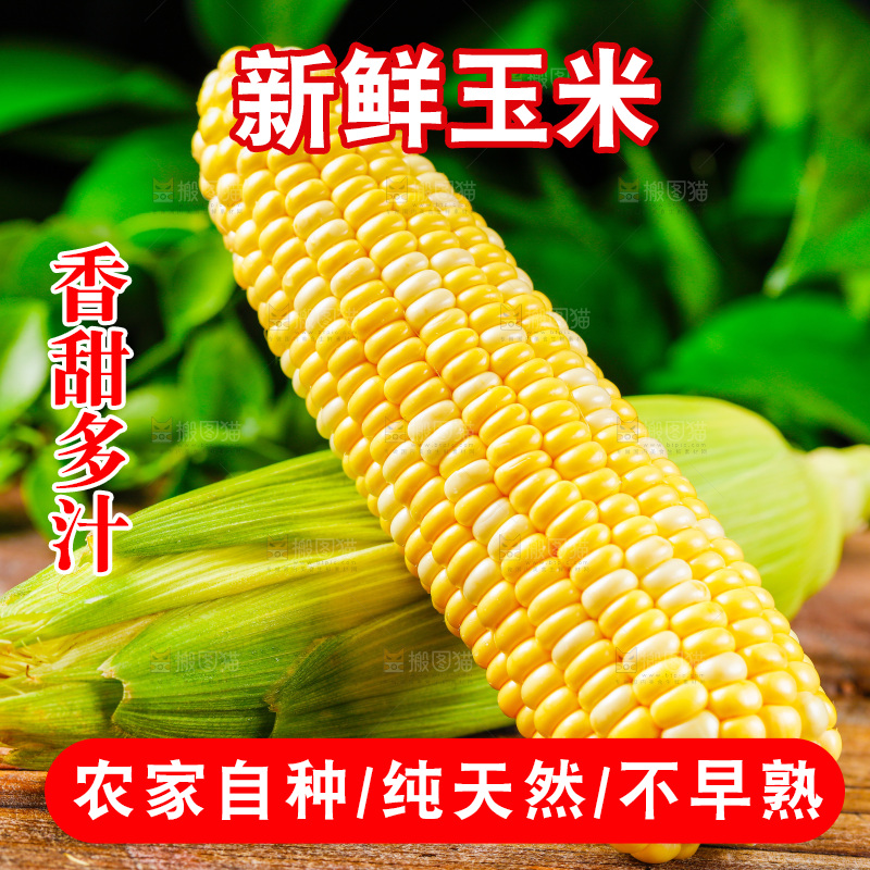 木底上的新鲜玉米