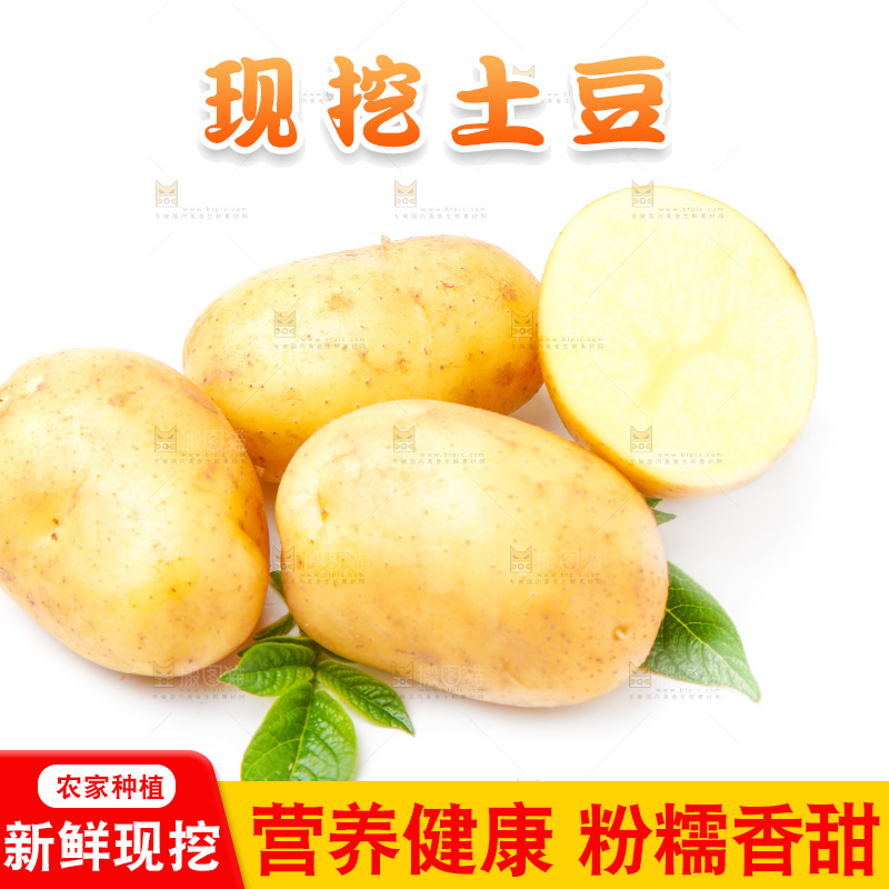 新鲜土豆放在白底上