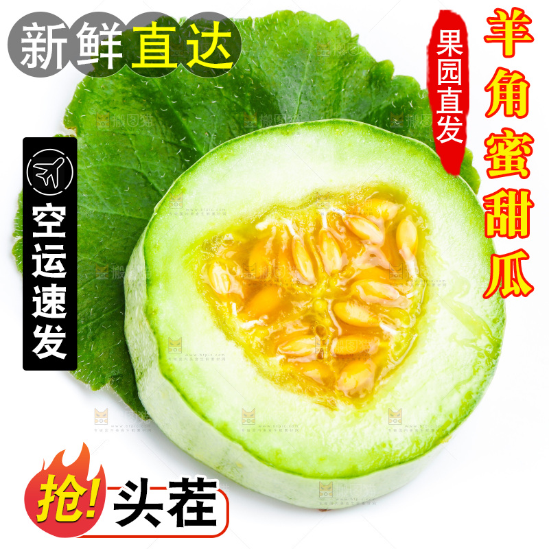 新鲜羊角蜜放在白底上
