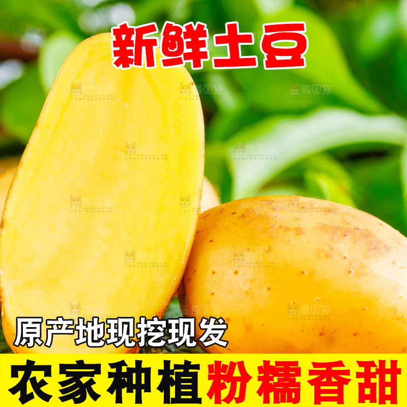 木底上的土豆