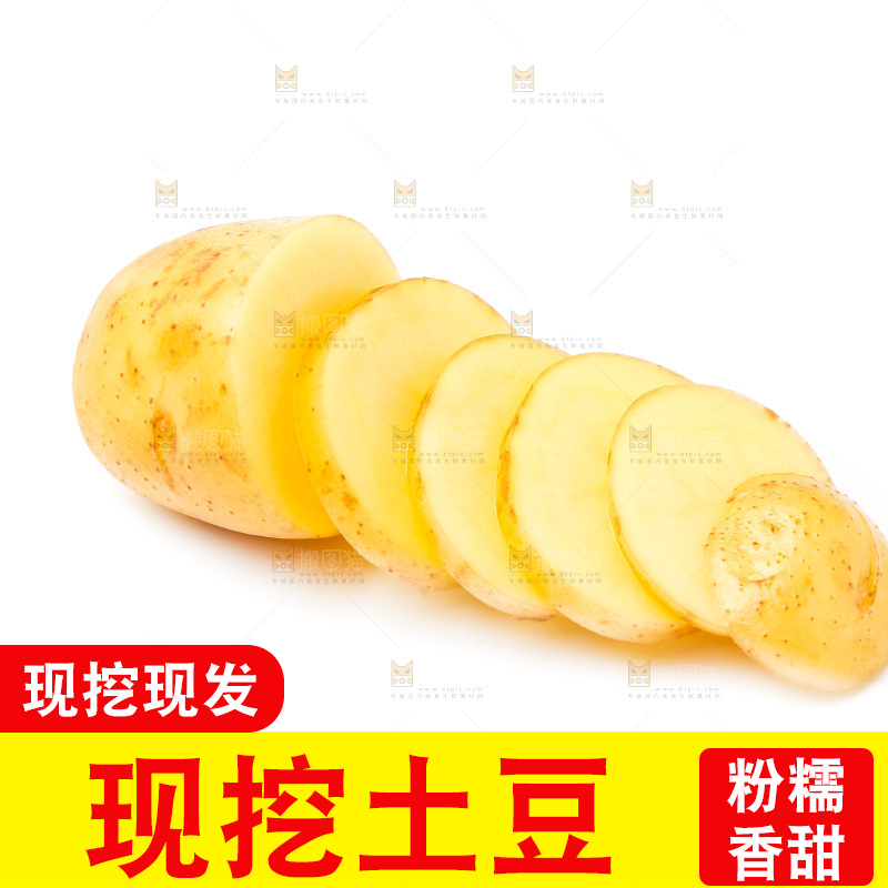 新鲜土豆放在白底上
