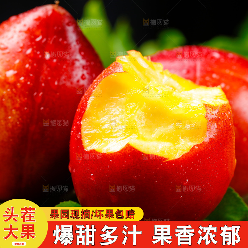 深底上的山西黄心油桃