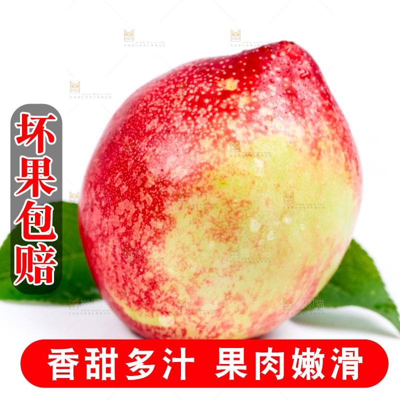 新鲜油桃放在白底上