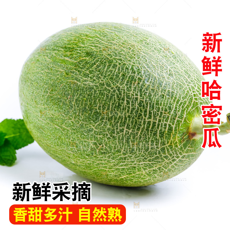 白底上的哈密瓜