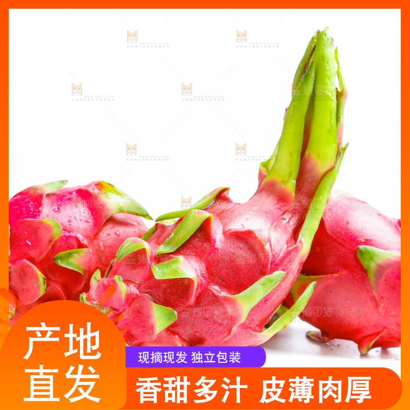 白底上的火龙果