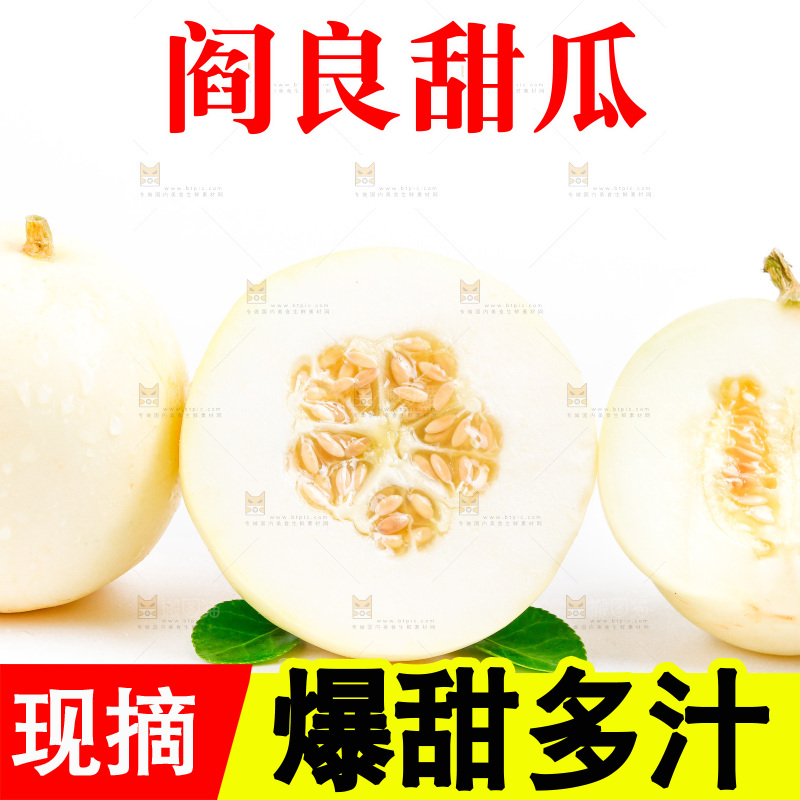新鲜阎良甜瓜放在白底上