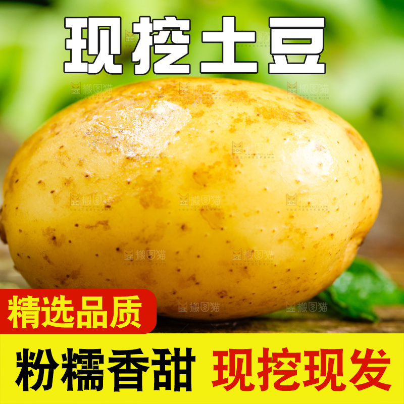 新鲜土豆放在木底上